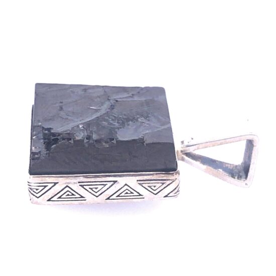 Shungite Soul Warrior Pendant