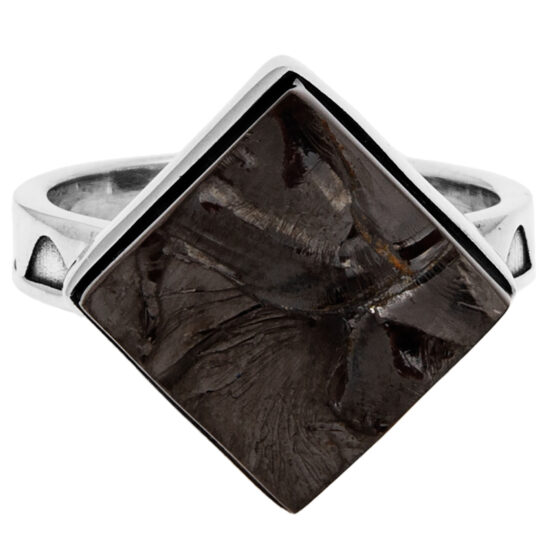 Shungite Strength Ring